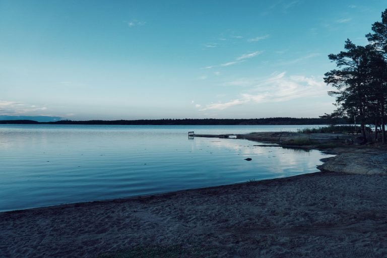 DSC00513