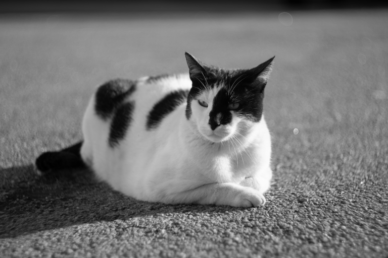 DSC00136